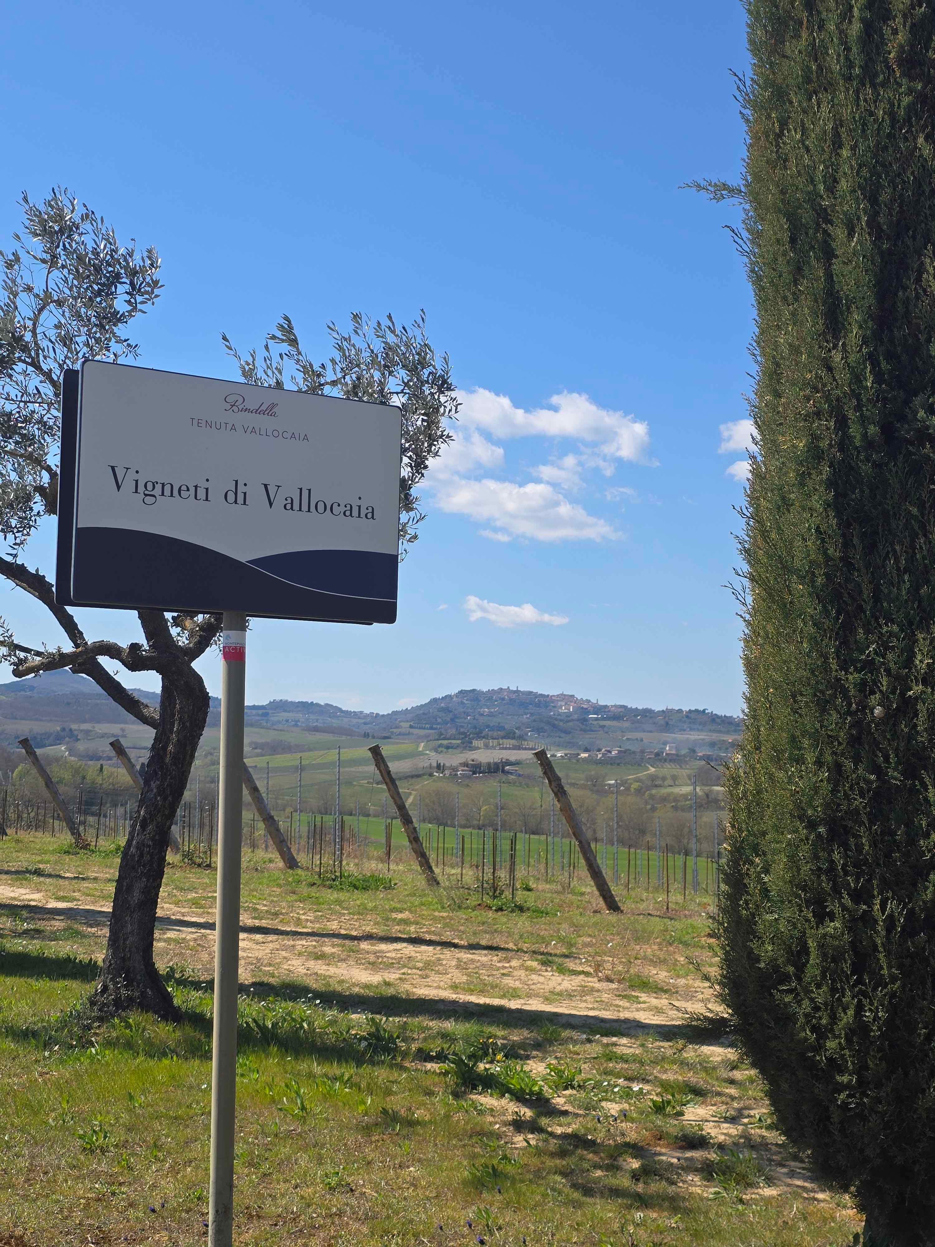 Bindella Tenuta Vallocaia vineyard sign with Montepulciano on the hill behind