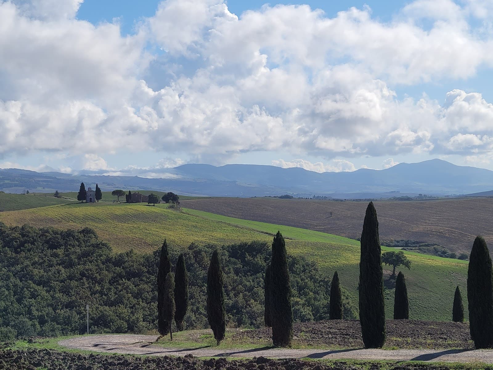 Montepulciano Weather by Month: When to Visit (2026 Guide)