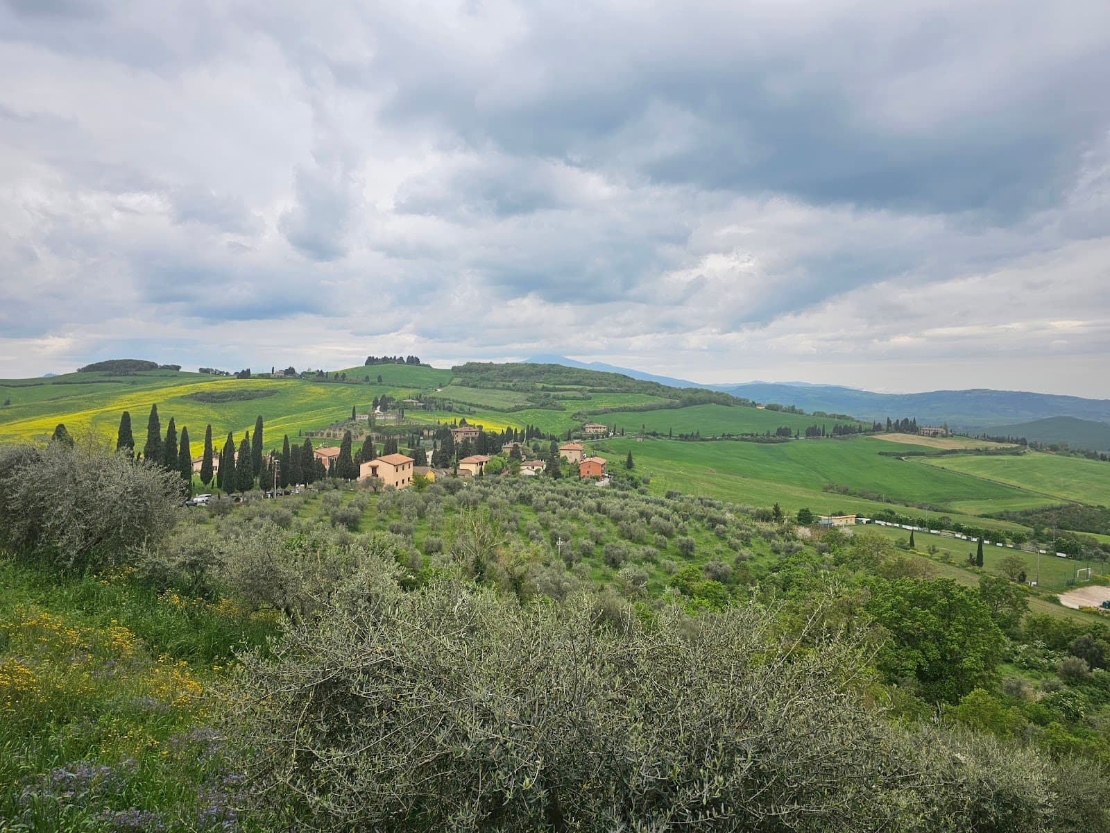 Best Restaurants in Montepulciano: A Local's Guide (2026)