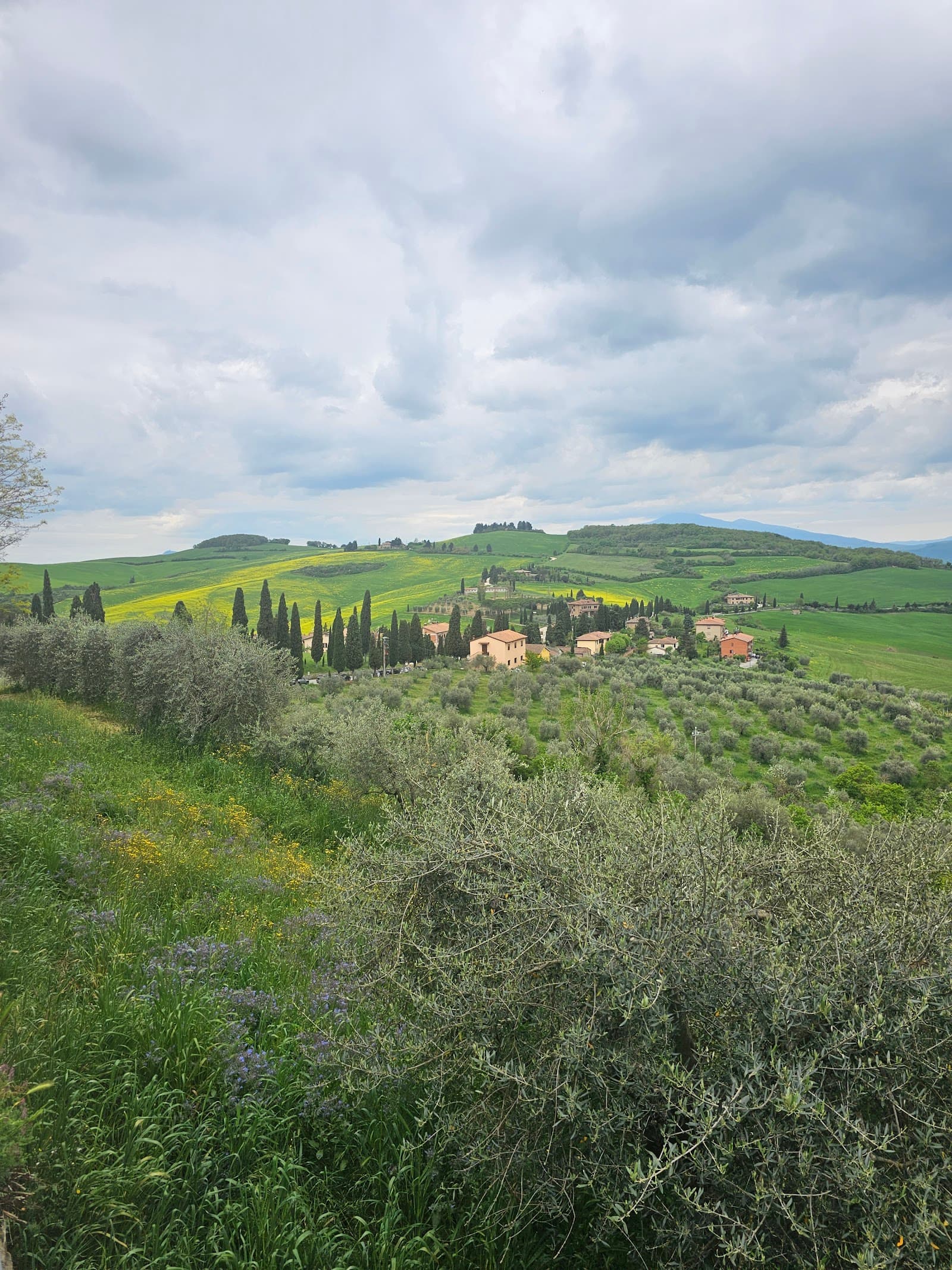 Family-Friendly Villas in Montepulciano: A Local's Guide (2026)