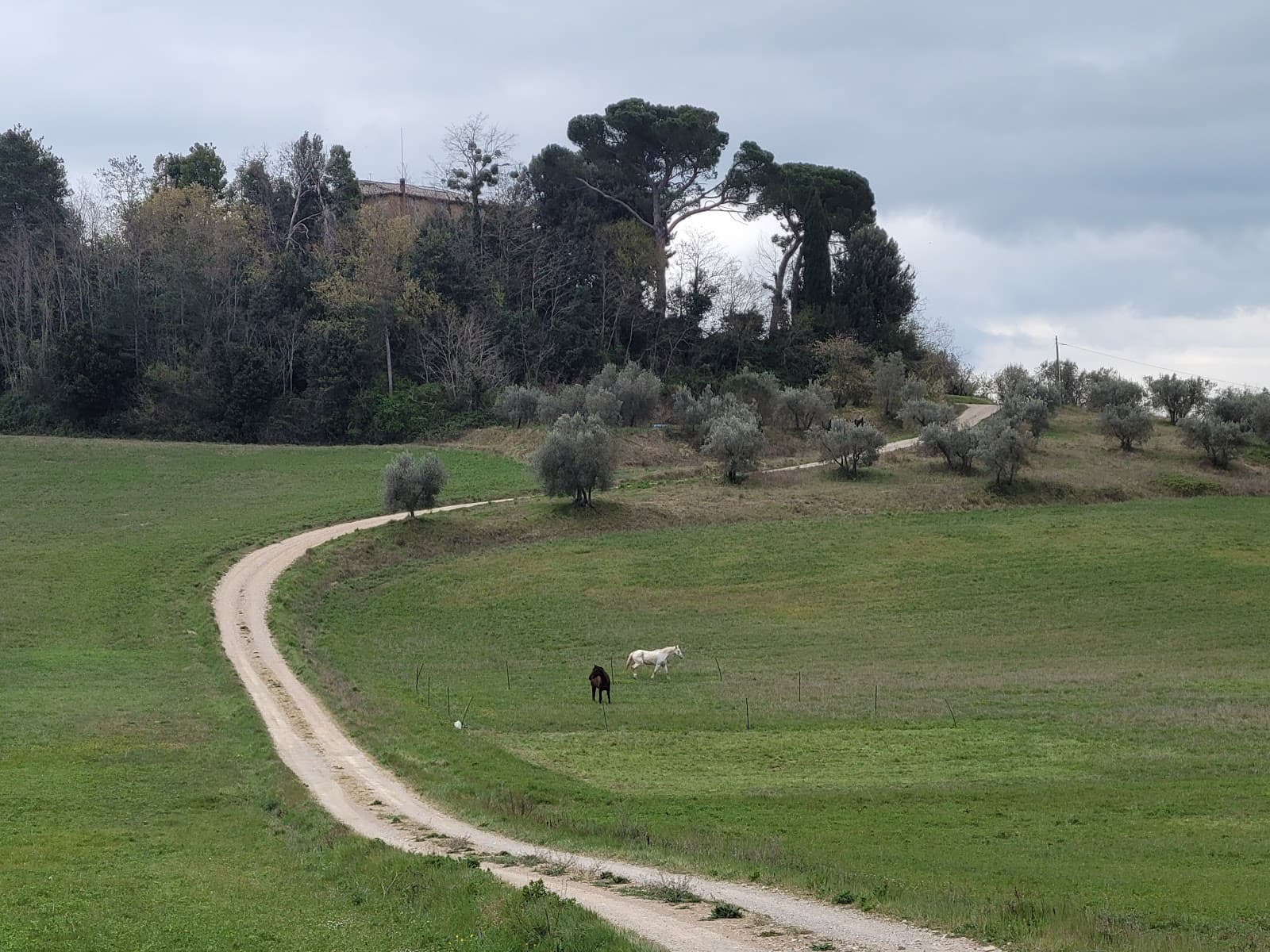 Getting to Montepulciano: Complete Transport Guide (2026)