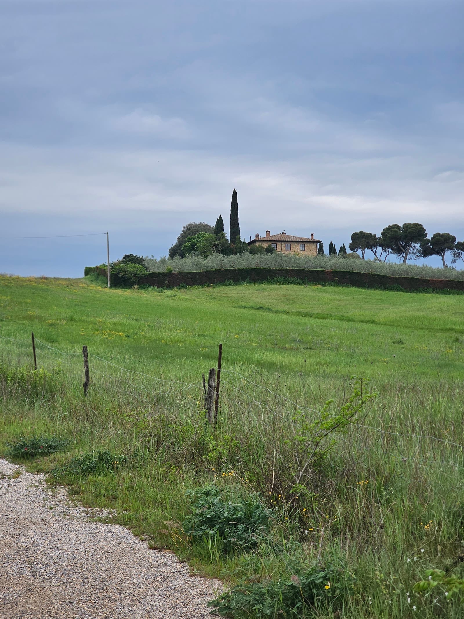 Large Group Villas Near Montepulciano: A Local's Guide (6–20 Guests)