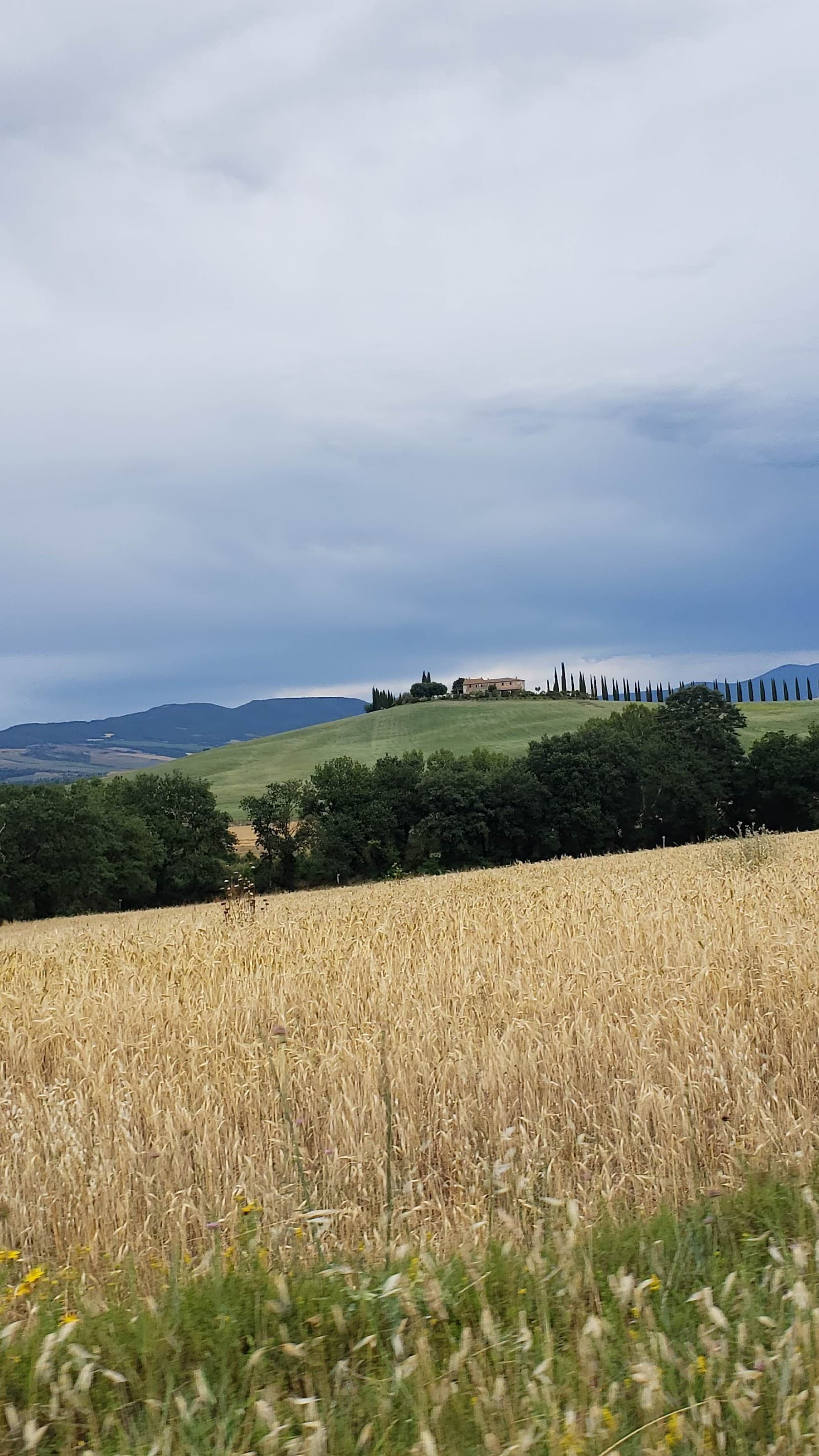 One Week in Southern Tuscany: Day-by-Day Itinerary from Montepulciano (2026)