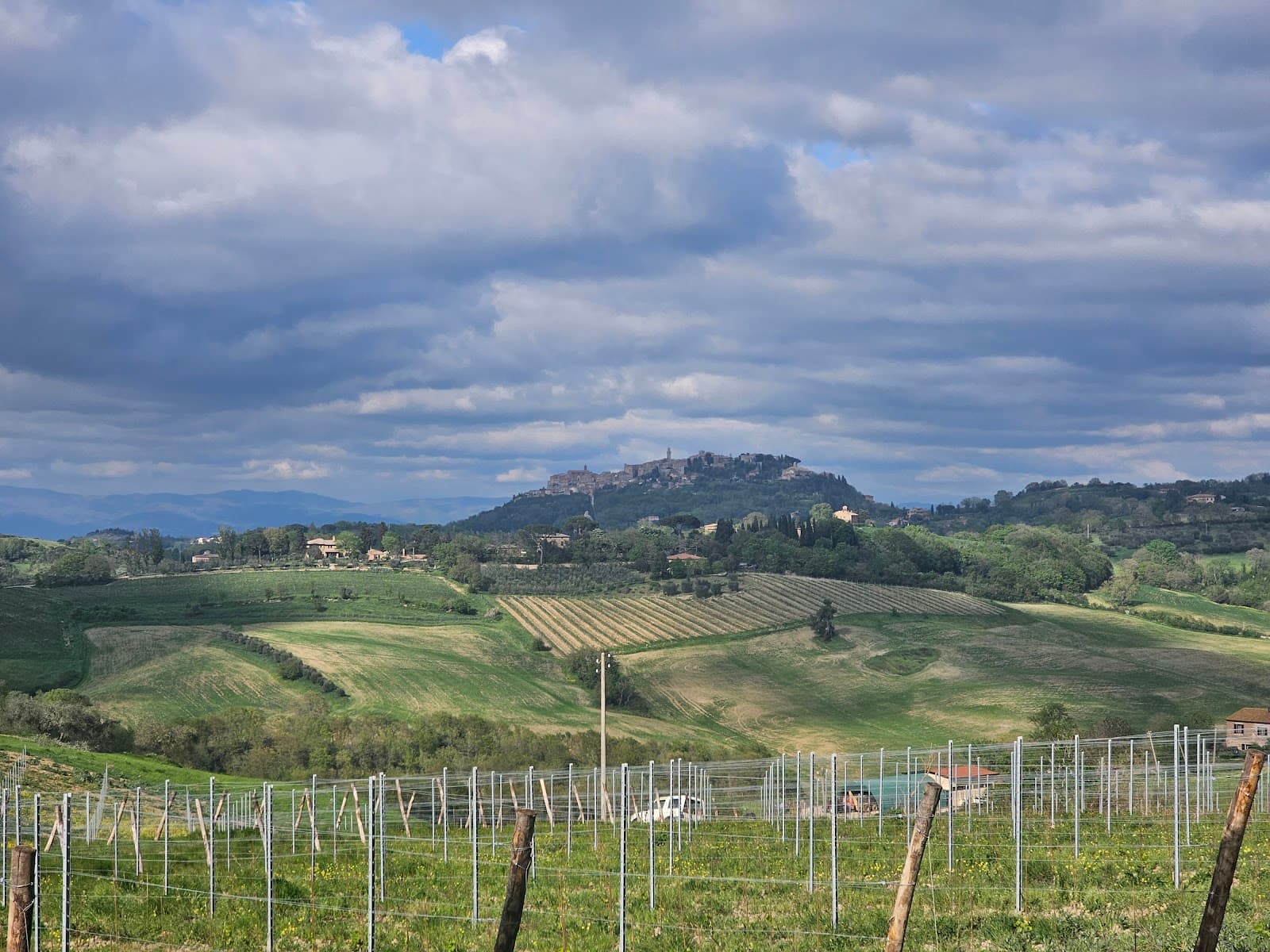 Bravio delle Botti: Montepulciano's Barrel Race Festival Guide (2026)