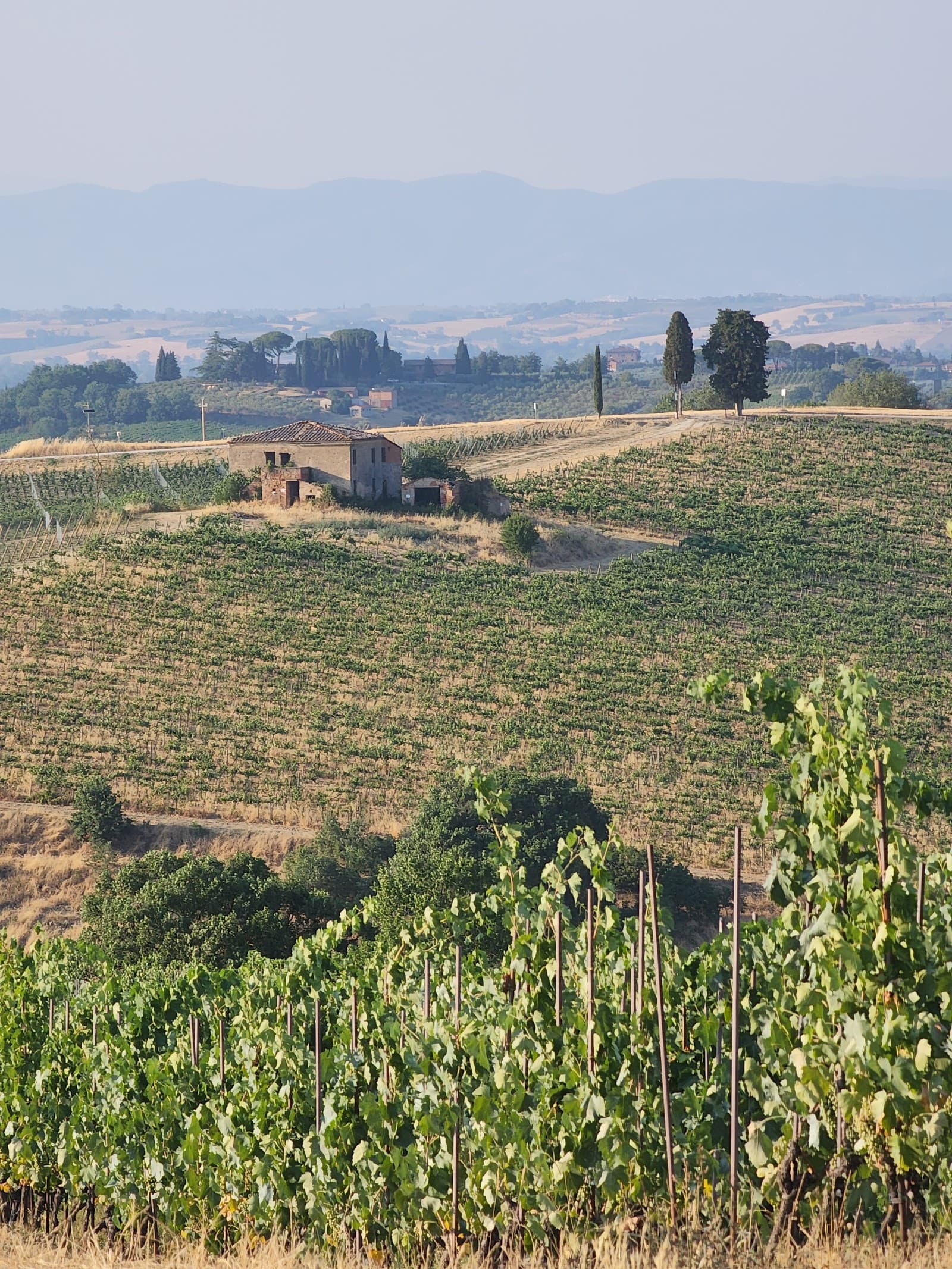 10 Best Villas with Pools Near Montepulciano (2026)