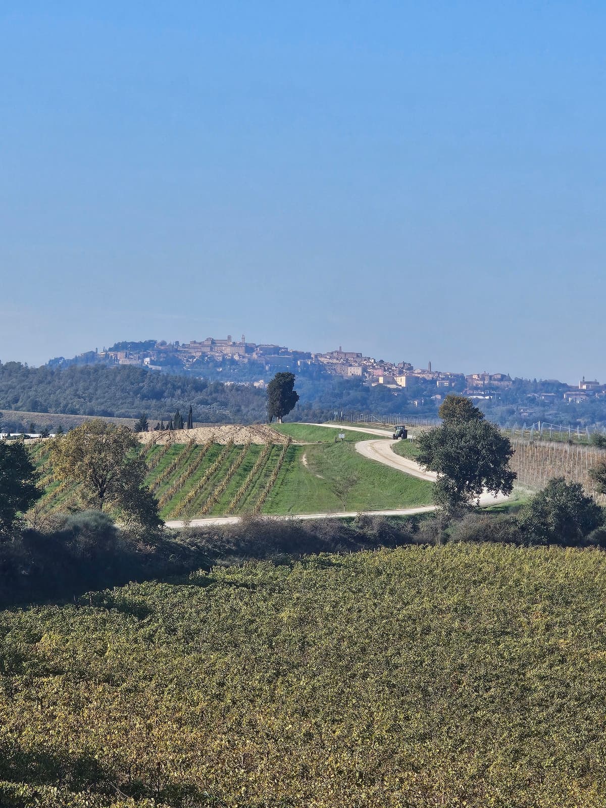Argiano Nobile photo 6