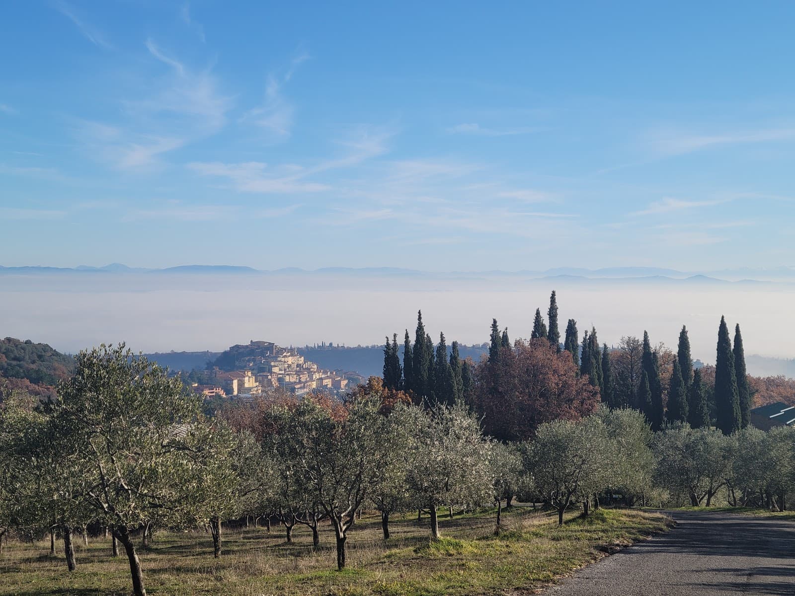 Montepulciano Markets & Food Shopping: Weekly Schedule & What to Buy