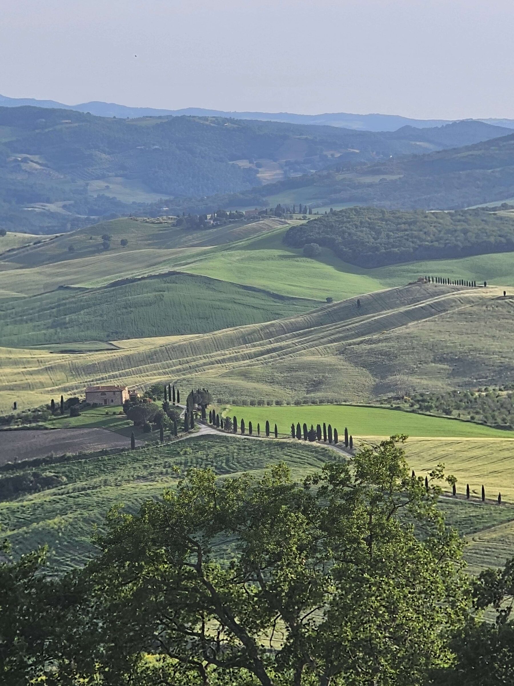 The Val d'Orcia view from Pienza is the reason not to rush the town: take the wall walk, then sit down somewhere with the valley in front of you.