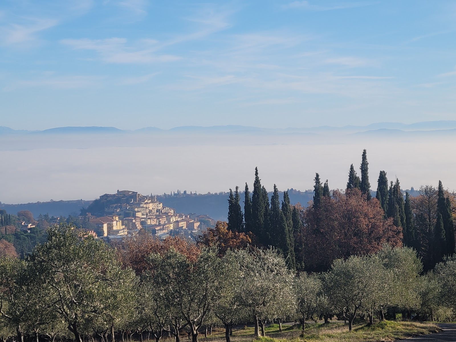 Olive oil is a small experience, but a useful one: after a good tasting, villa lunches get better for the rest of the week.
