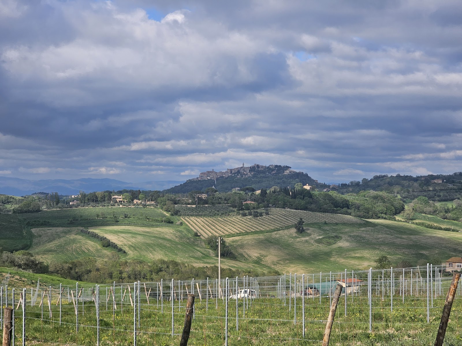The best pool villas near Montepulciano tend to sit just outside town, where the vineyards open up and the historic centre stays a short drive away.